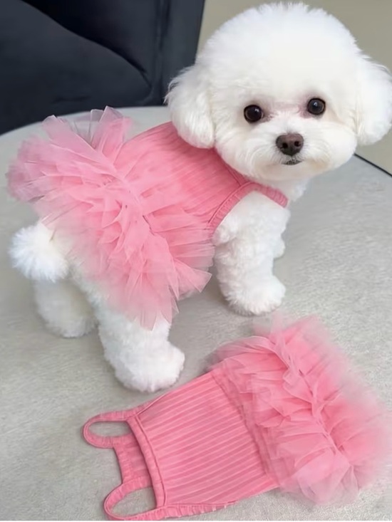 Other - 🛍️ 3 for $10 🛍️ Pink Tulle Pet Dress - Elegant Dog or Cat Sundress Tutu